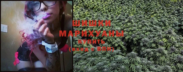 прущая мука Корсаков