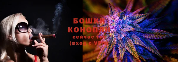 apvp Костерёво