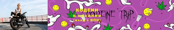 прущая мука Корсаков