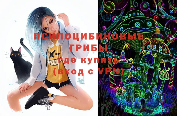 apvp Костерёво