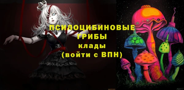прущая мука Корсаков