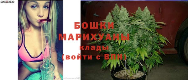 прущая мука Корсаков