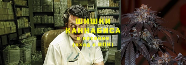 прущая мука Корсаков
