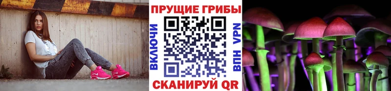 Купить  Неман  Псилоцибиновые грибы Psilocybe 